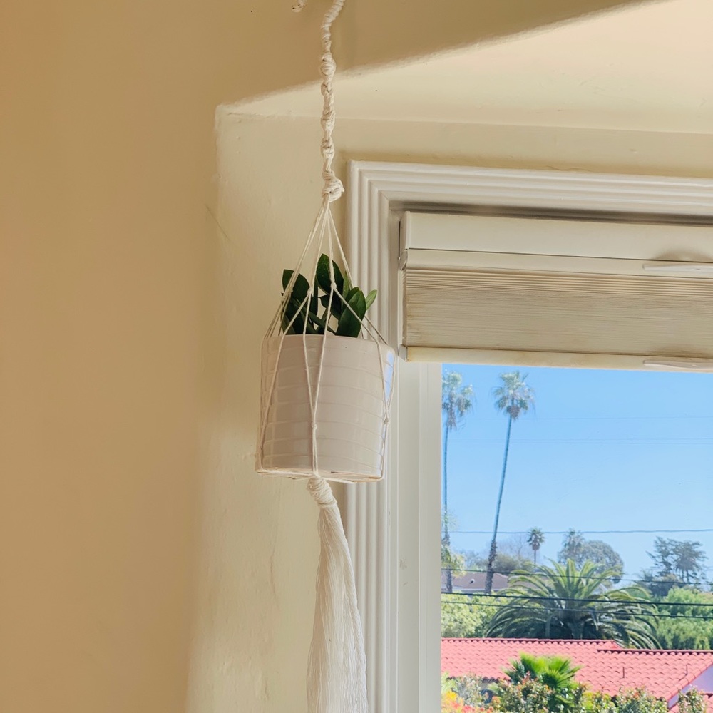 Small plant hanger